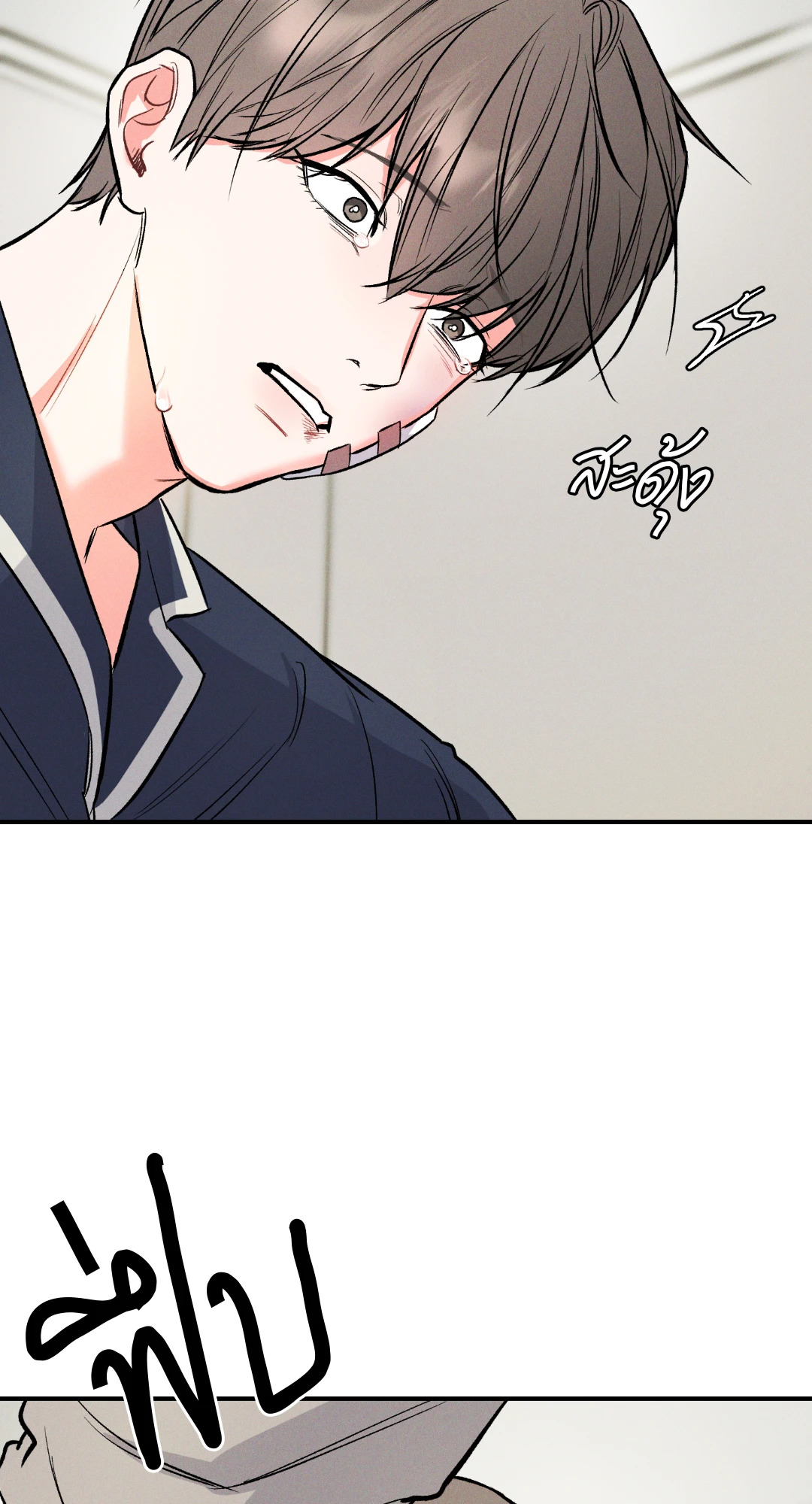 หน้า 52