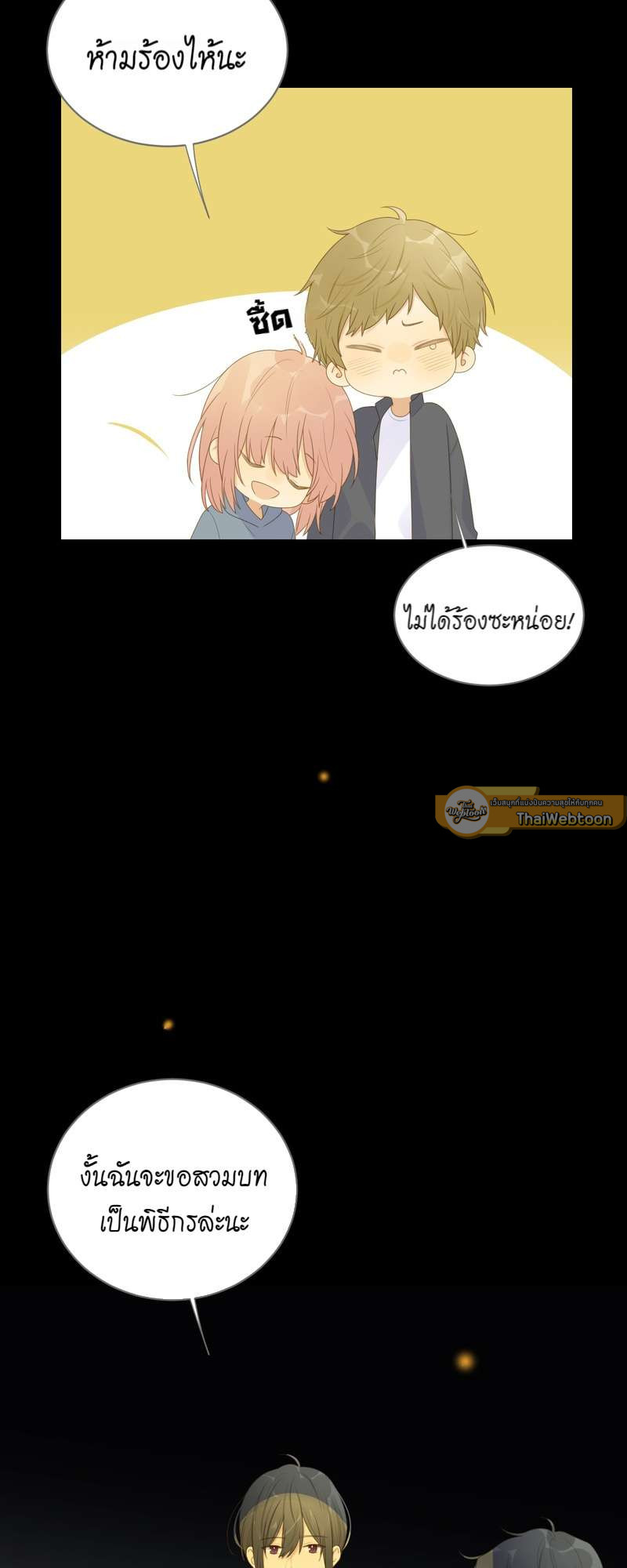 หน้า 30