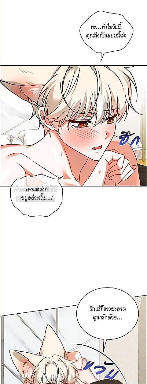 หน้า 33