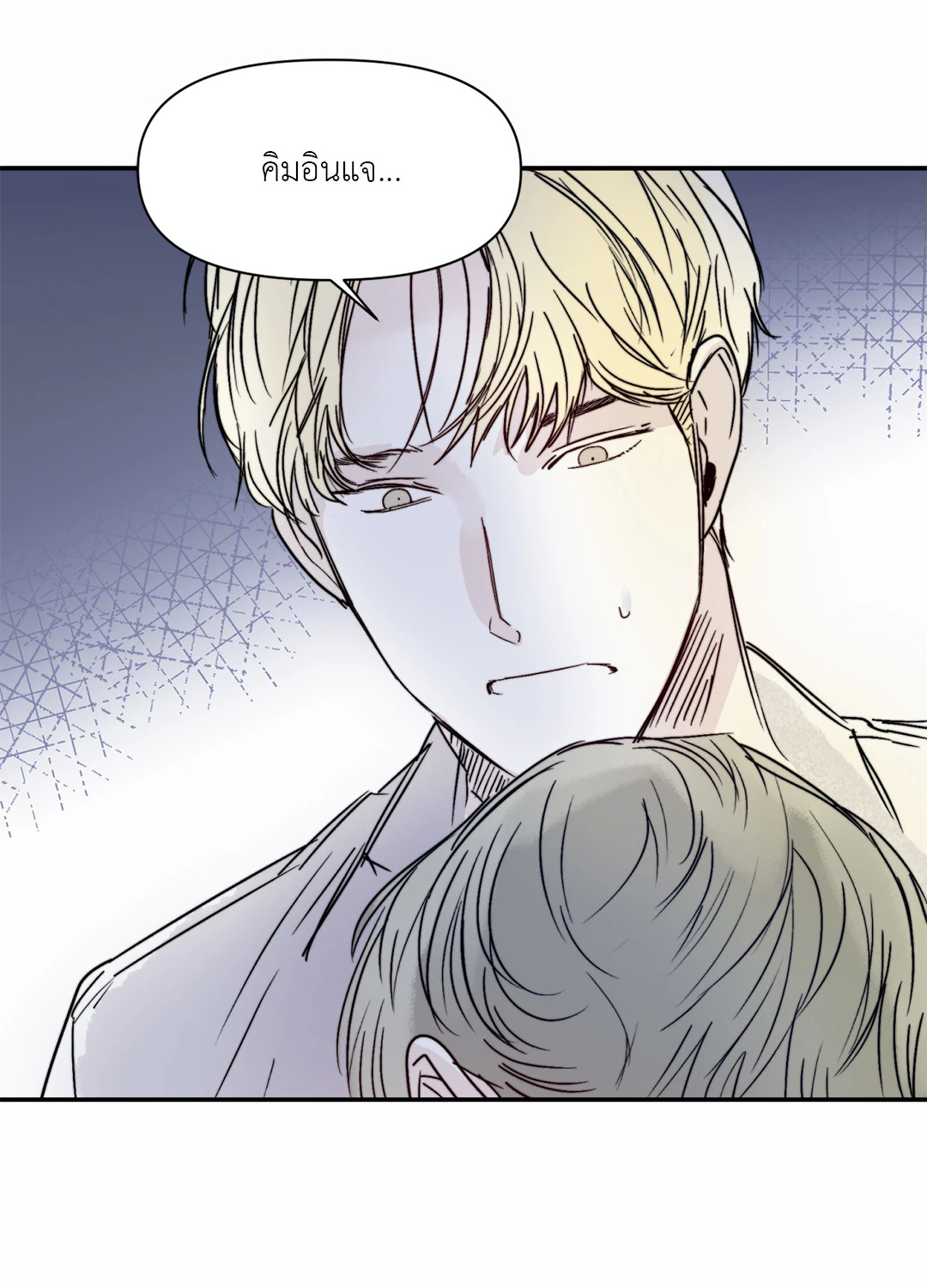 หน้า 41