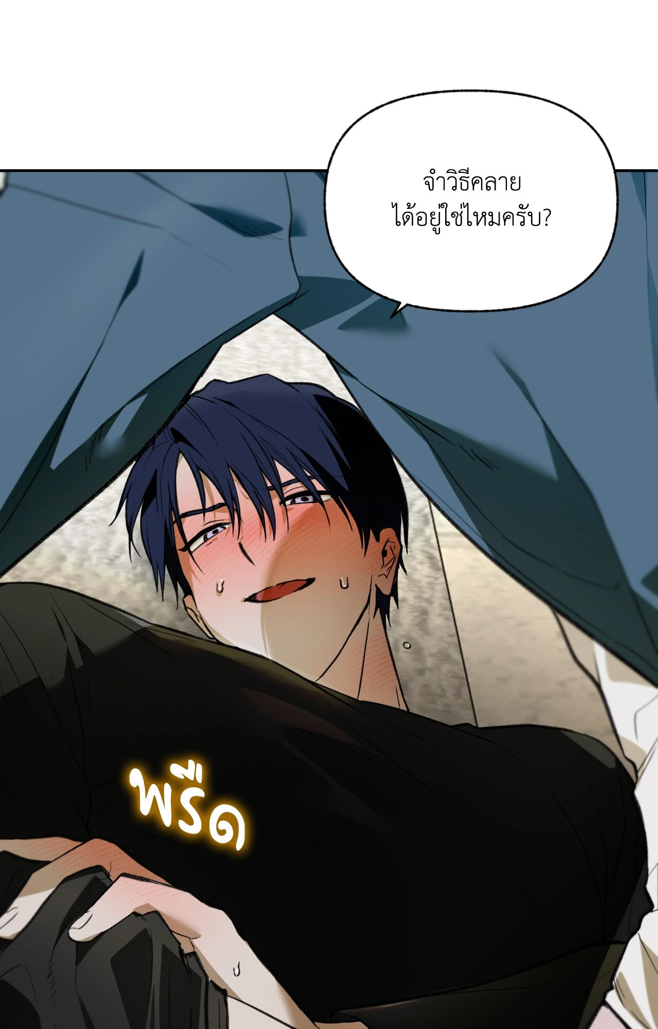 หน้า 31