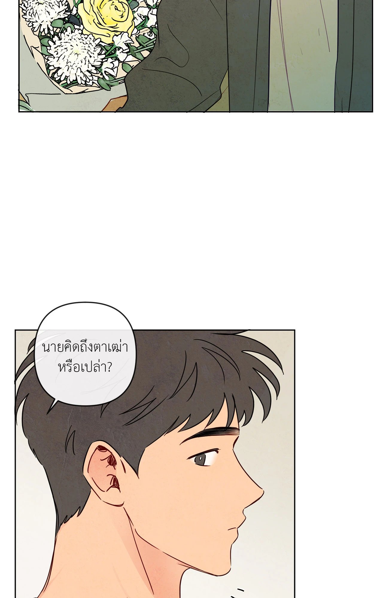 หน้า 43
