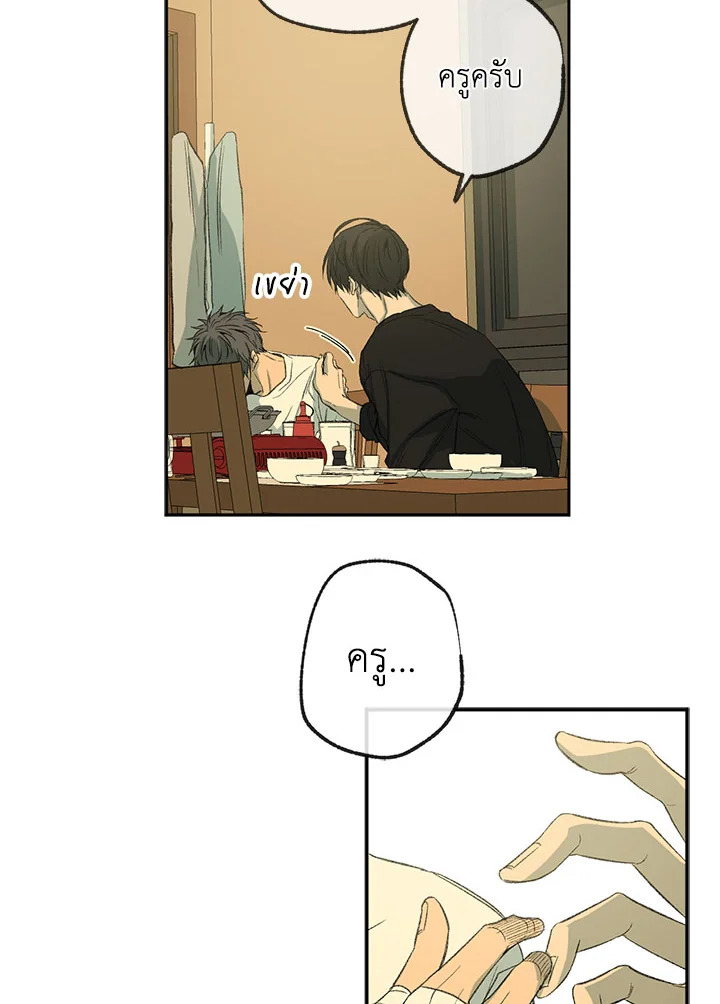 หน้า 37