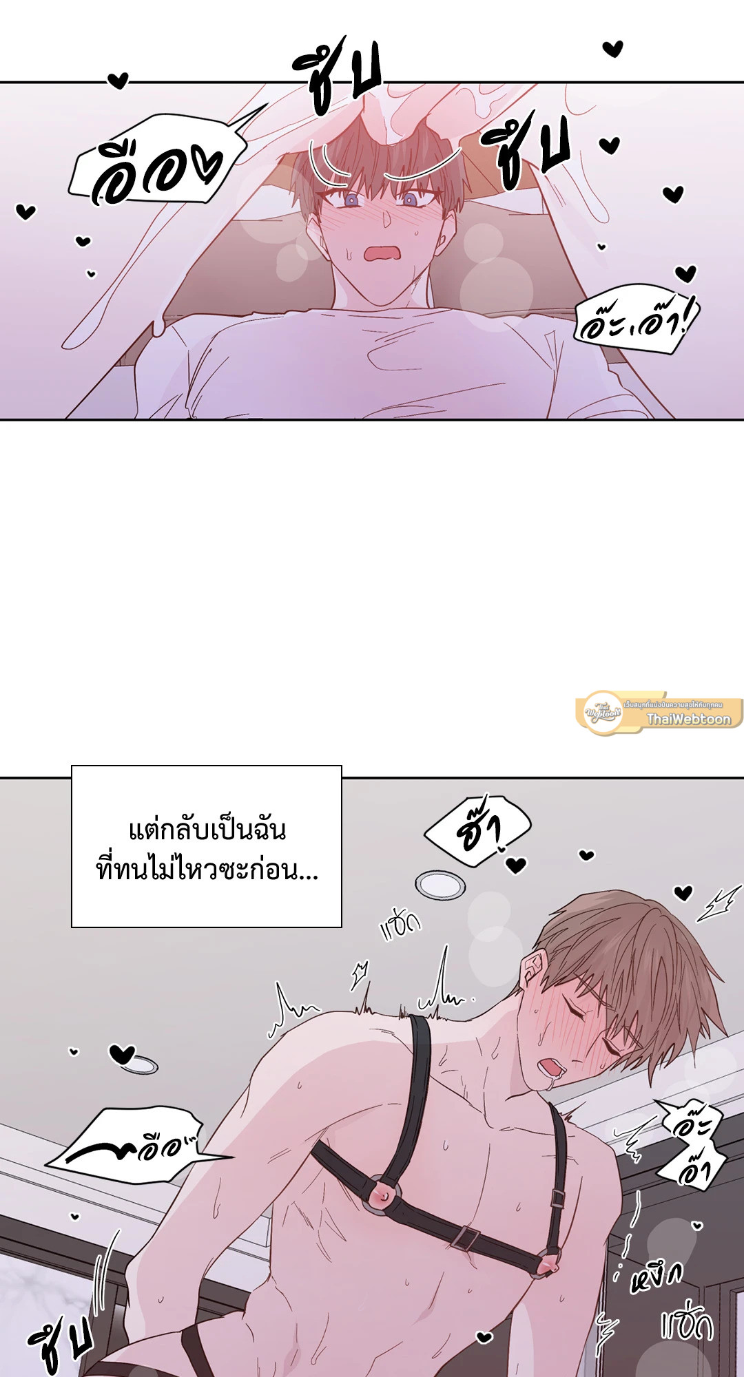 หน้า 43