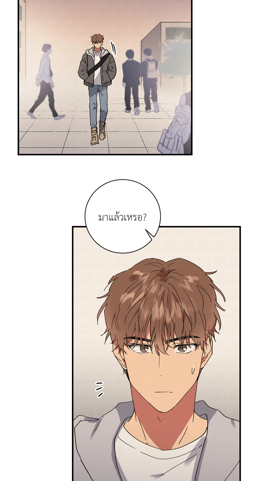 หน้า 43