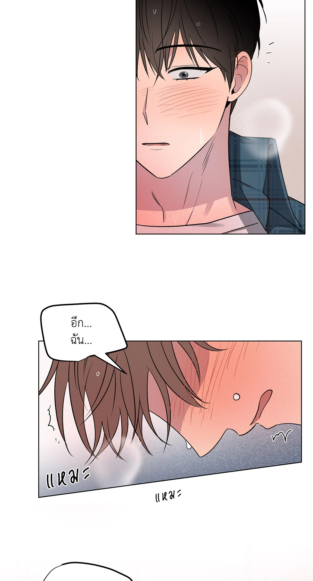 หน้า 48
