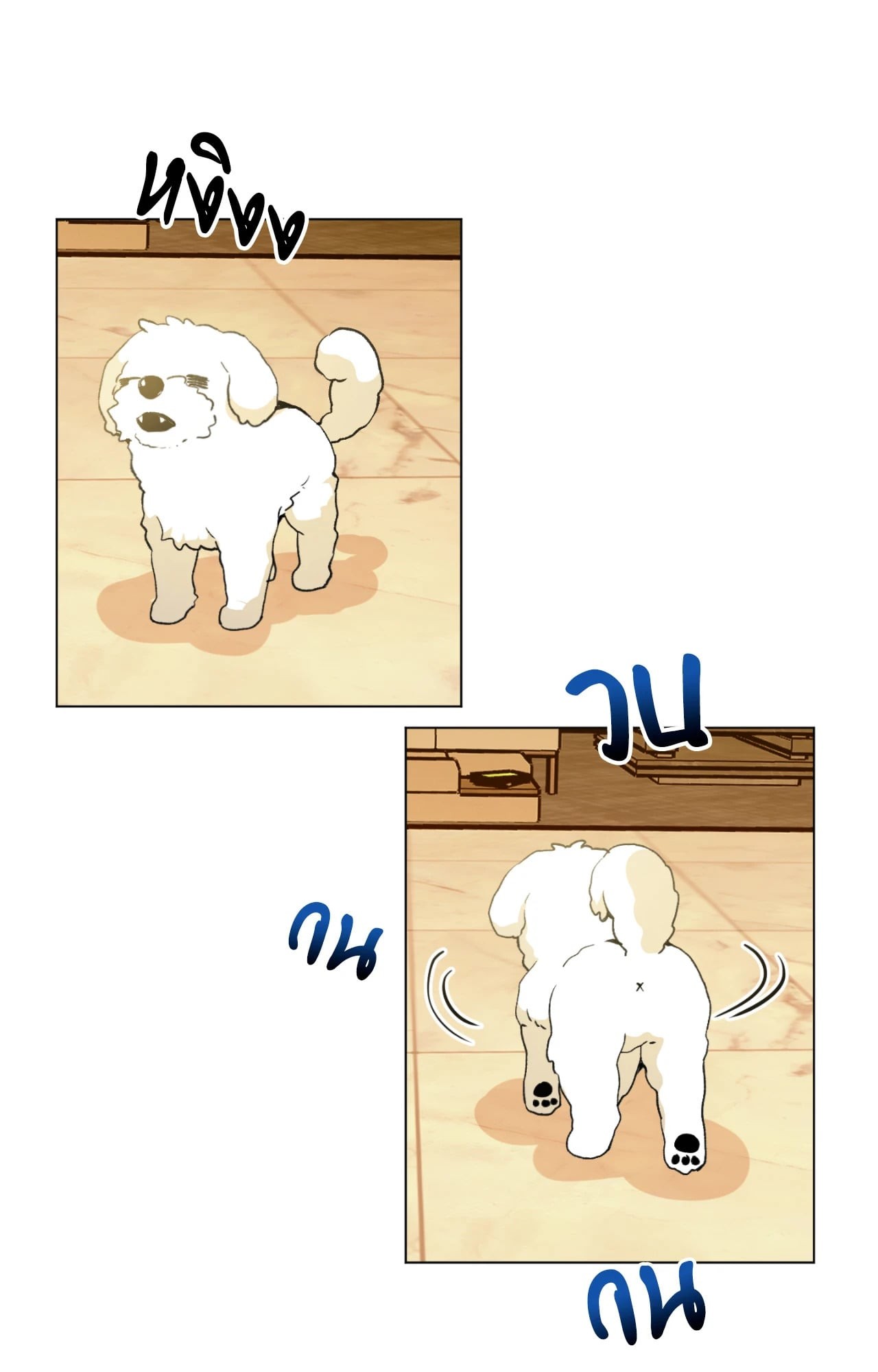 หน้า 40