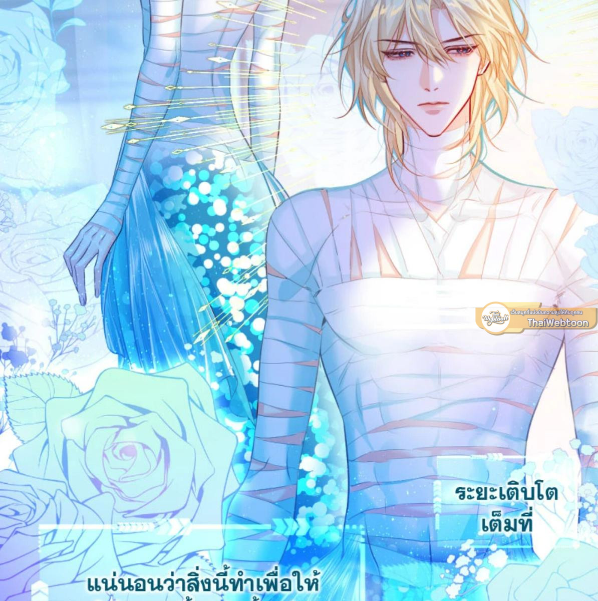 หน้า 13