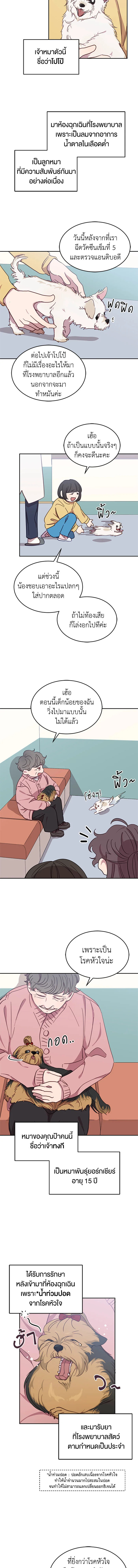 โรงพยาบาลสัตว์ไร้พรมแดน | An Animal Hospital in the Border Area ตอนที่ 17 - รูปที่ 2