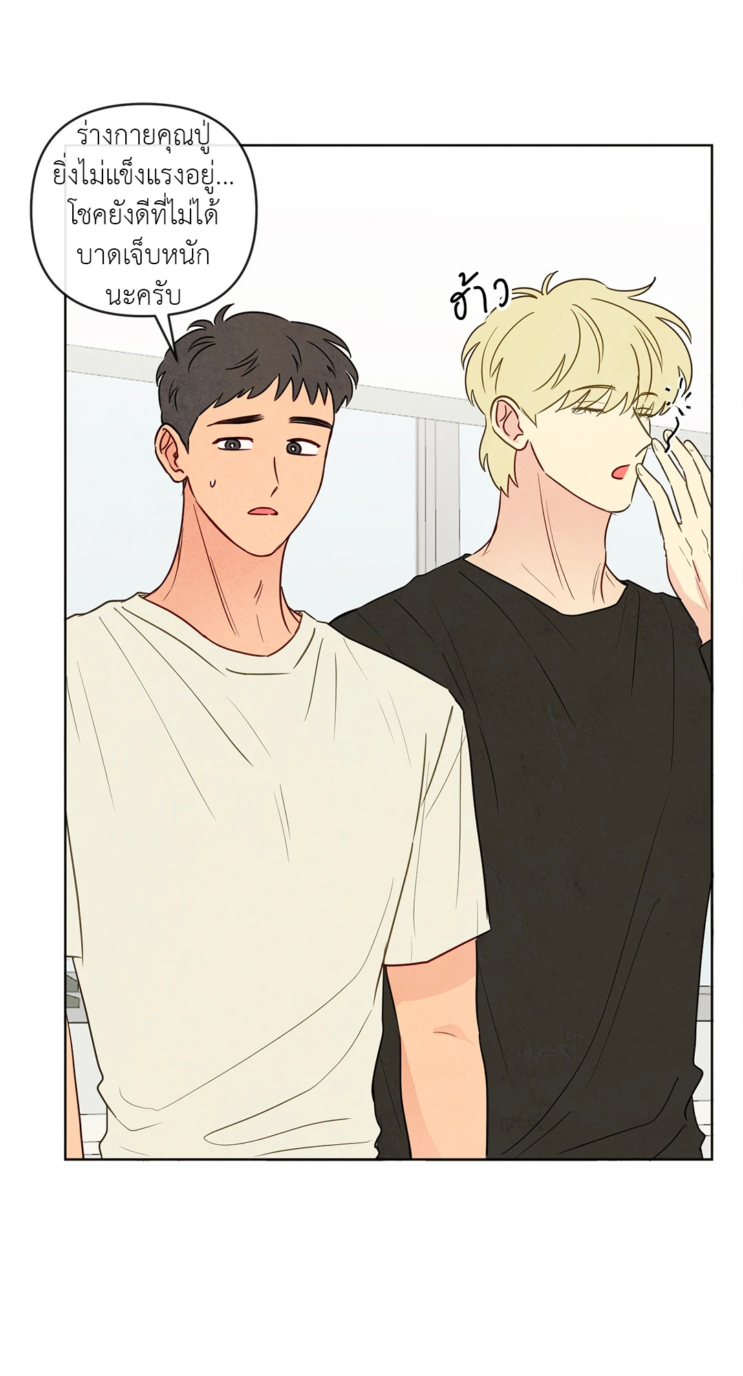 หน้า 29