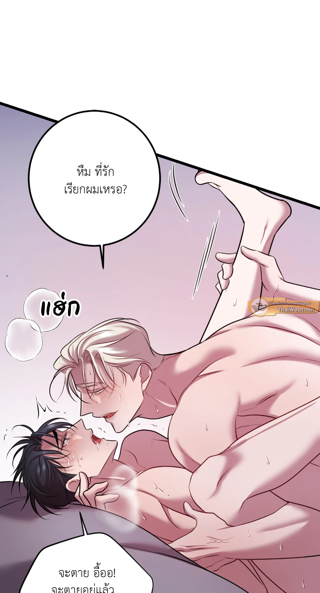 หน้า 85
