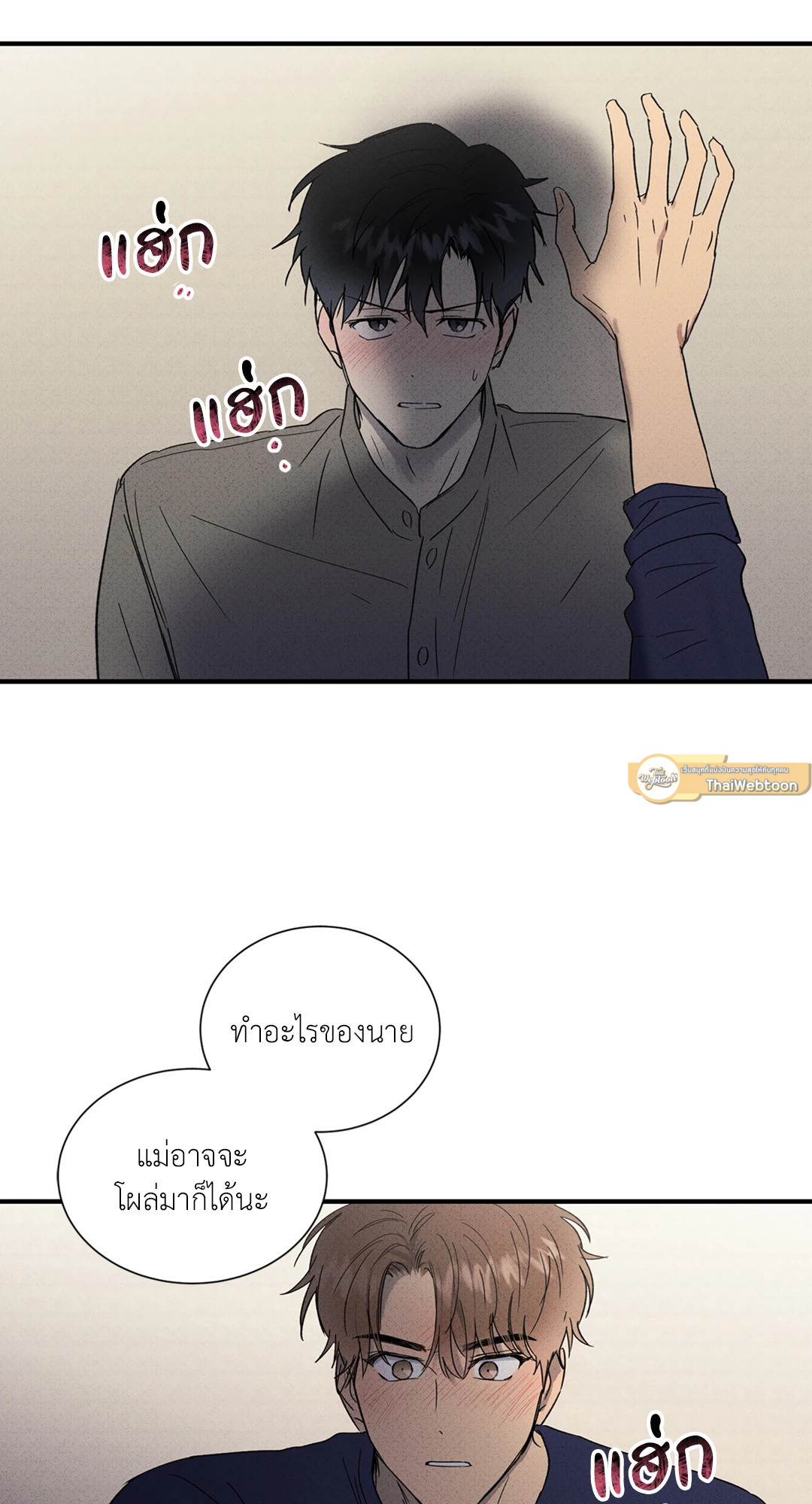 หน้า 43