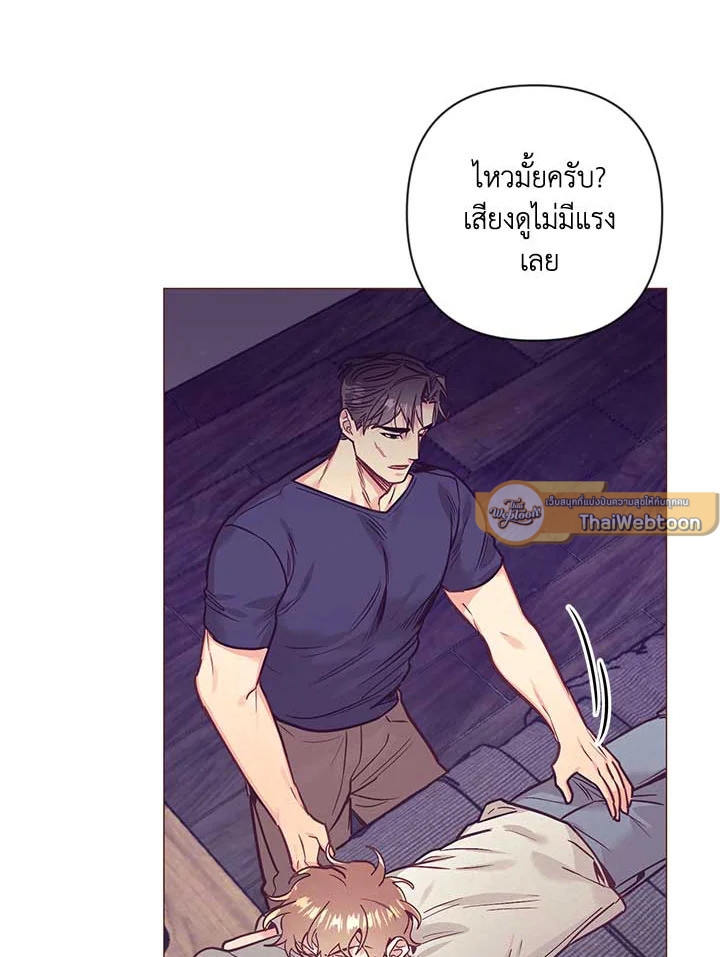 หน้า 41