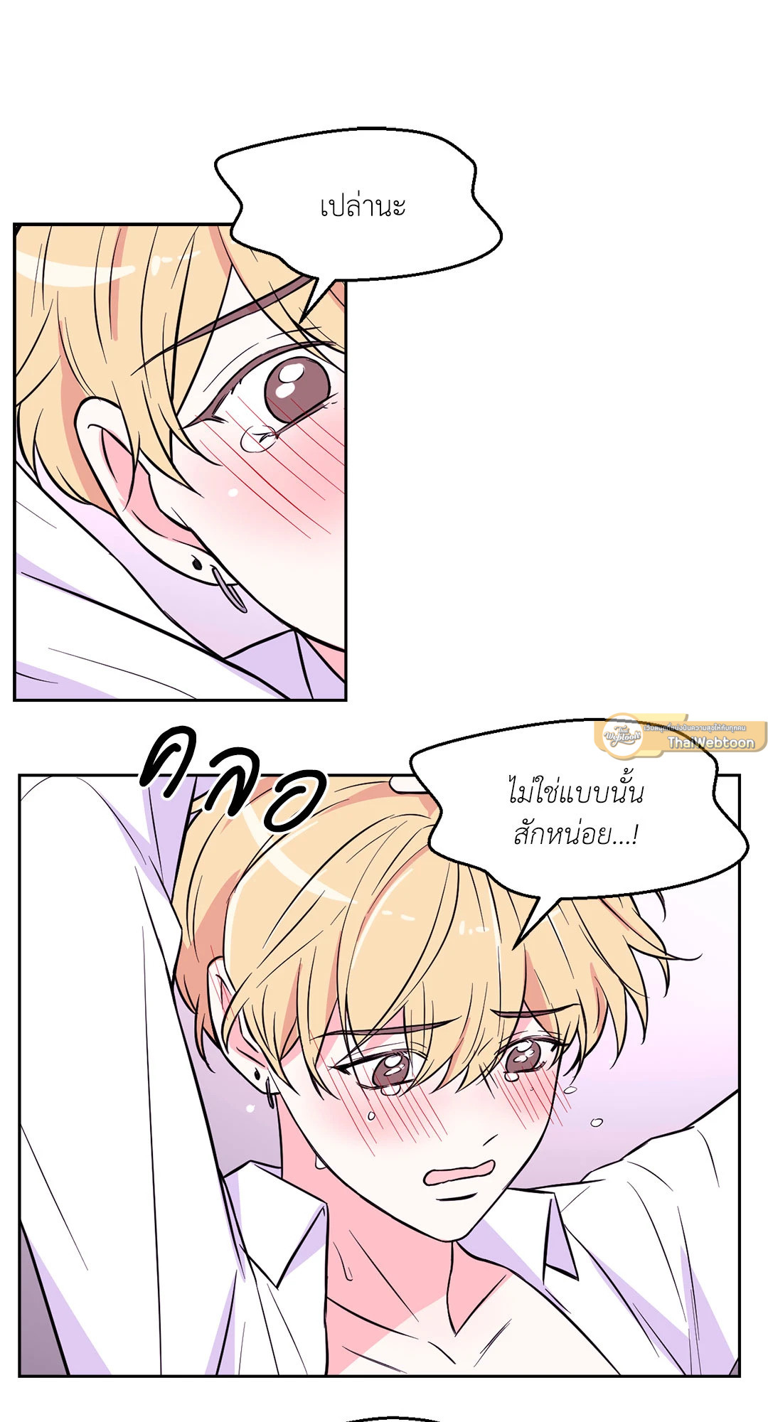 หน้า 41