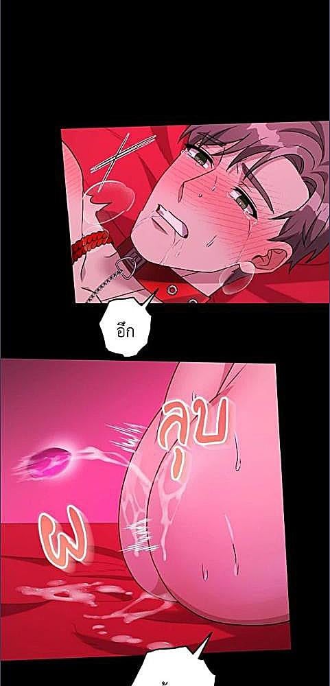 หน้า 42