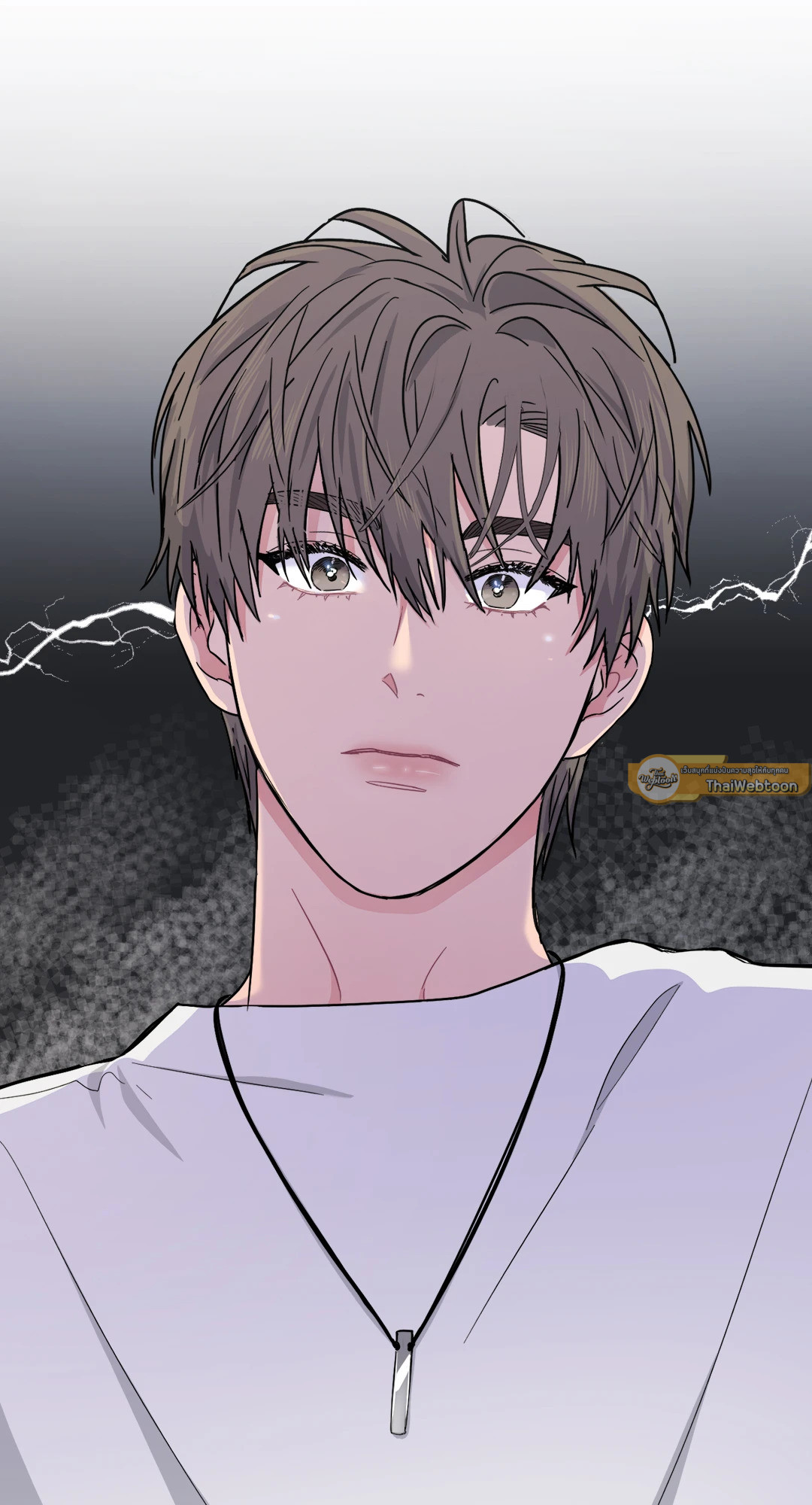 หน้า 117