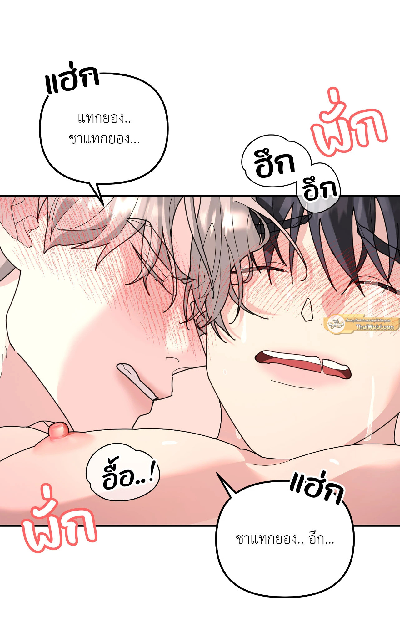 หน้า 51