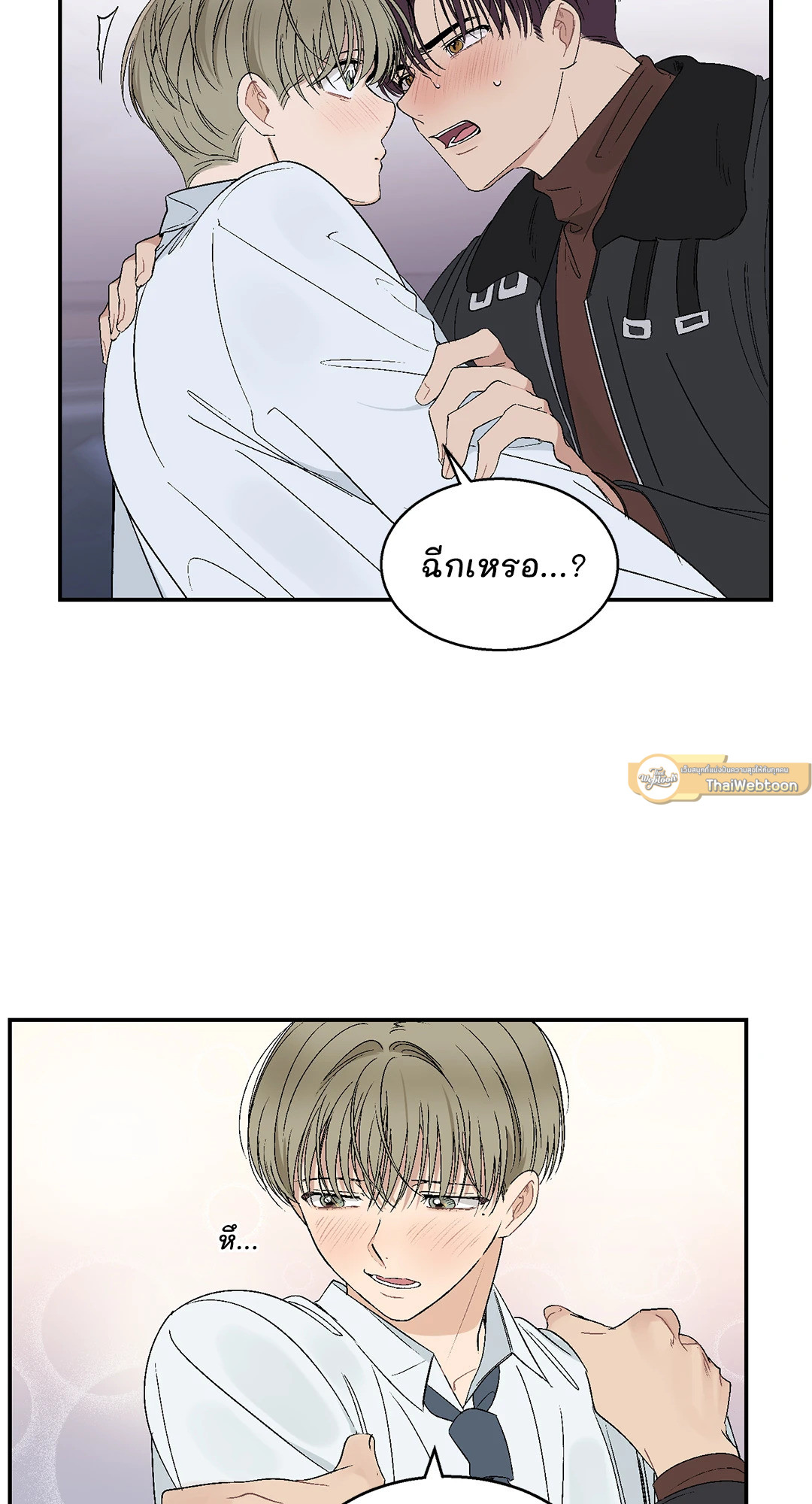 หน้า 29