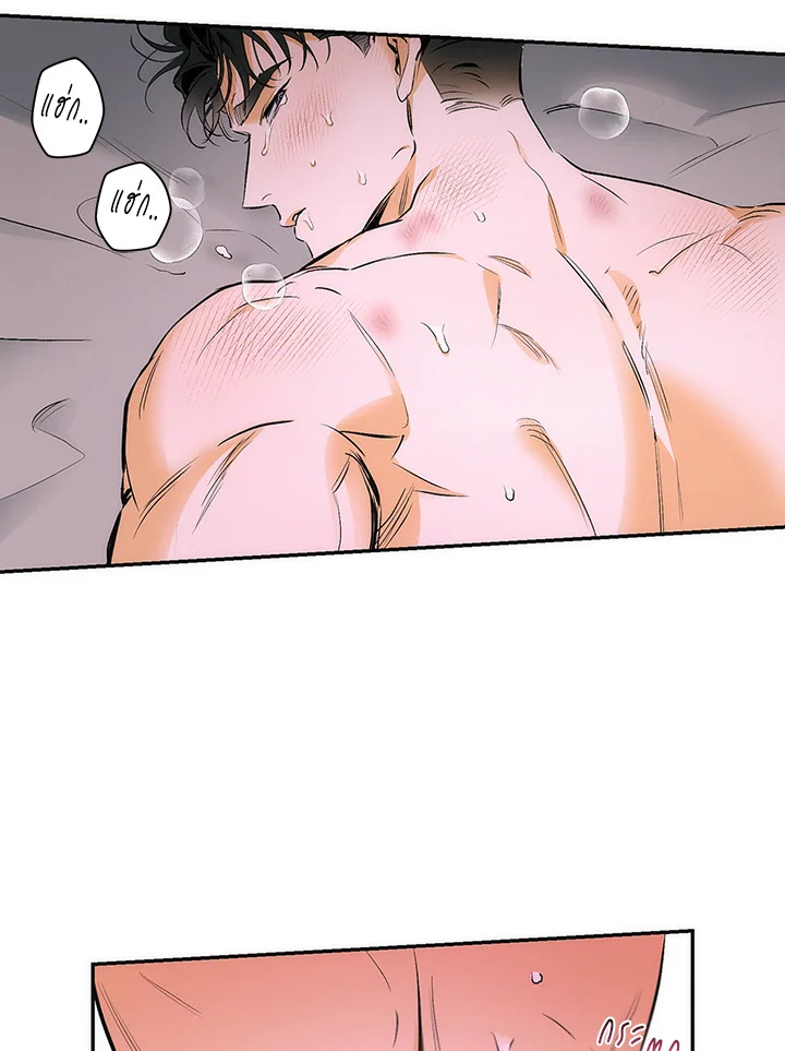 หน้า 61