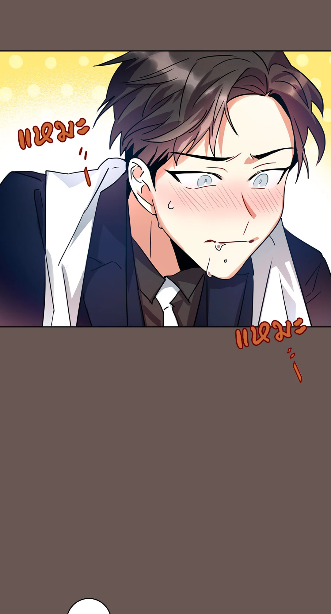หน้า 28