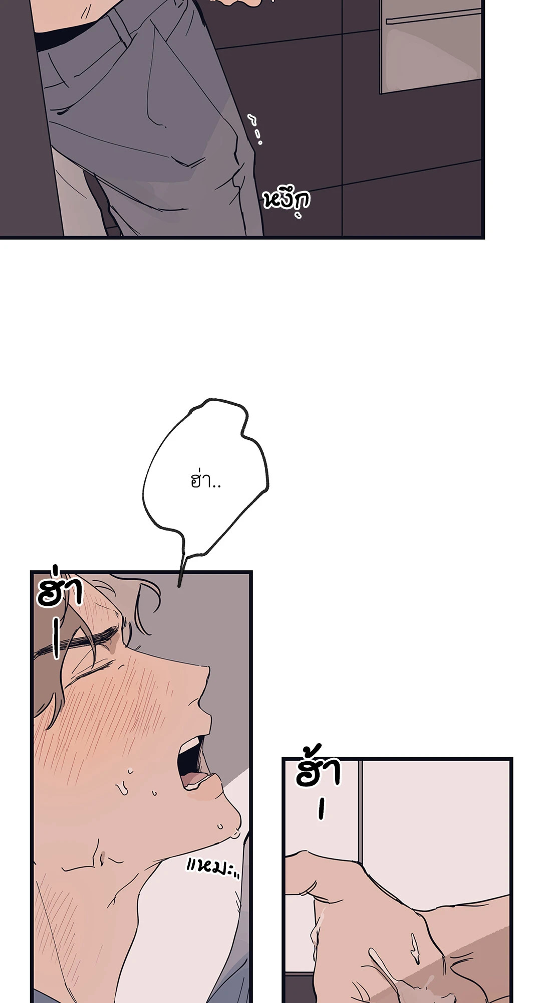 หน้า 43
