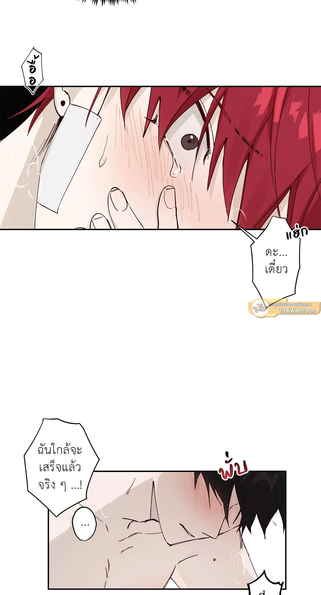 หน้า 43