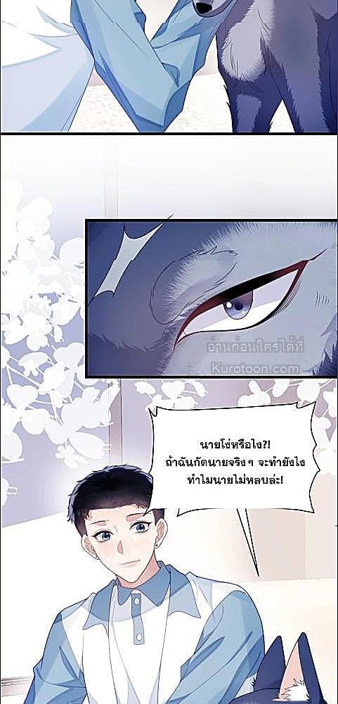 หน้า 33