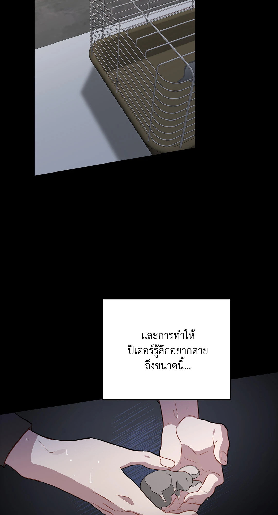 หน้า 91
