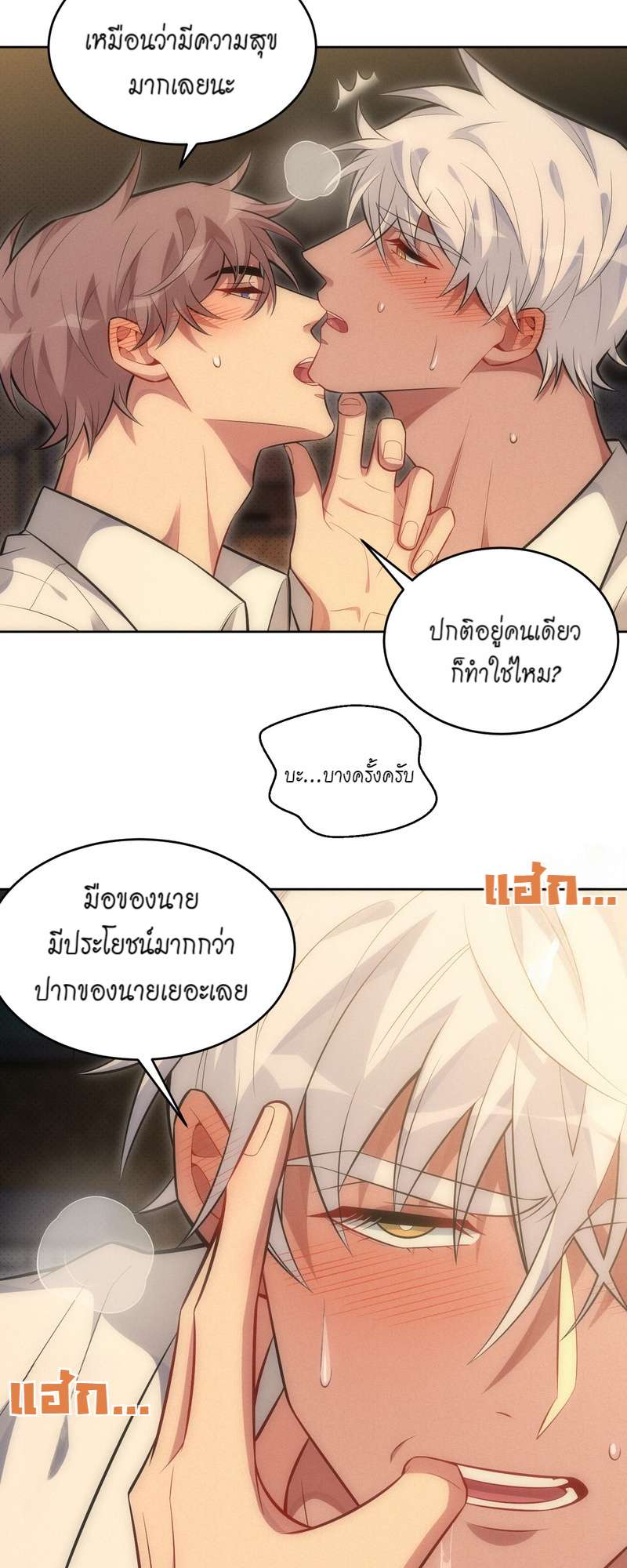 หน้า 24