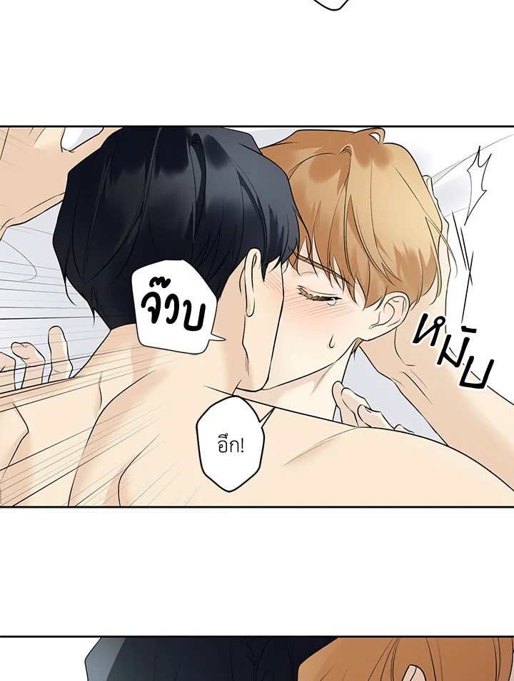 หน้า 36