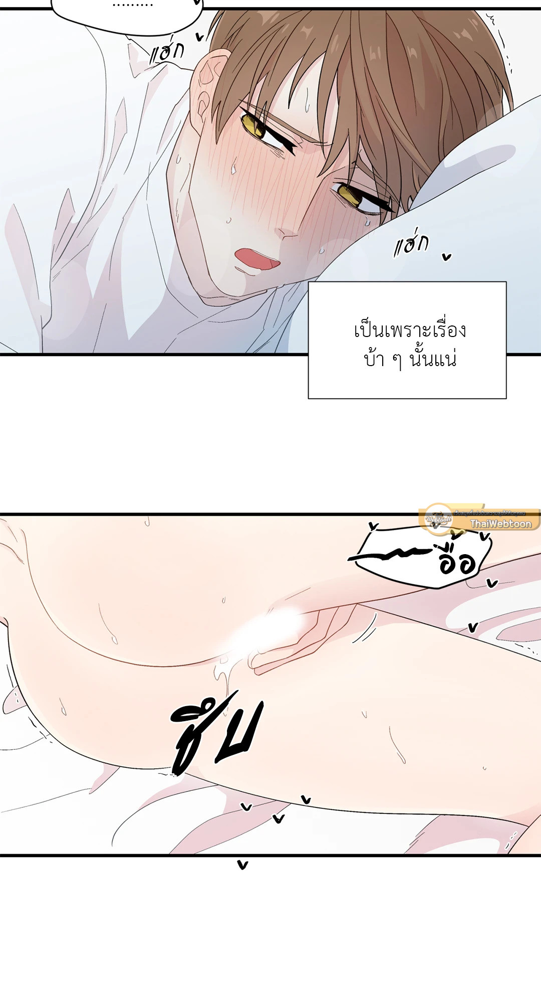หน้า 44