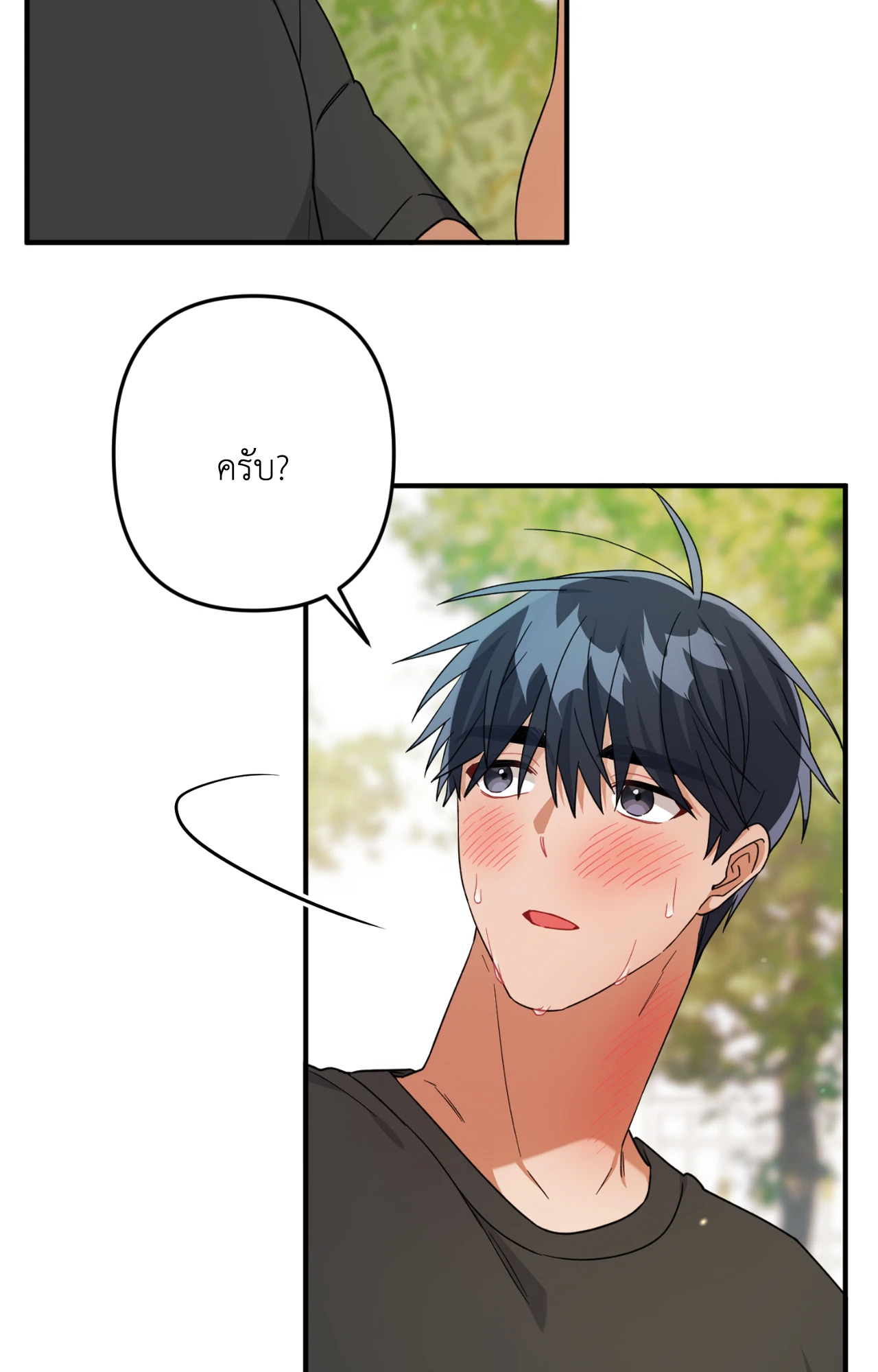 หน้า 41