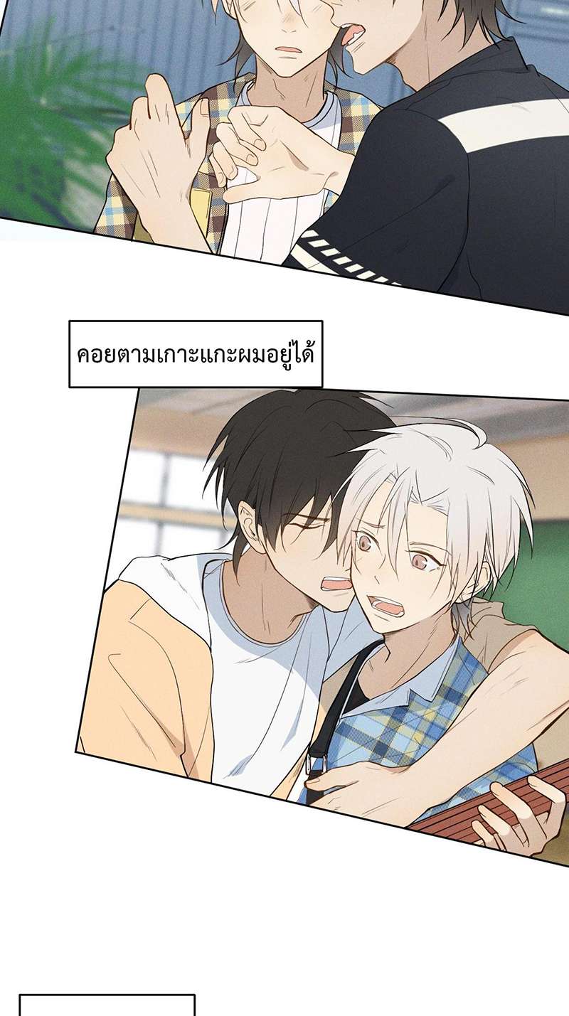หน้า 31