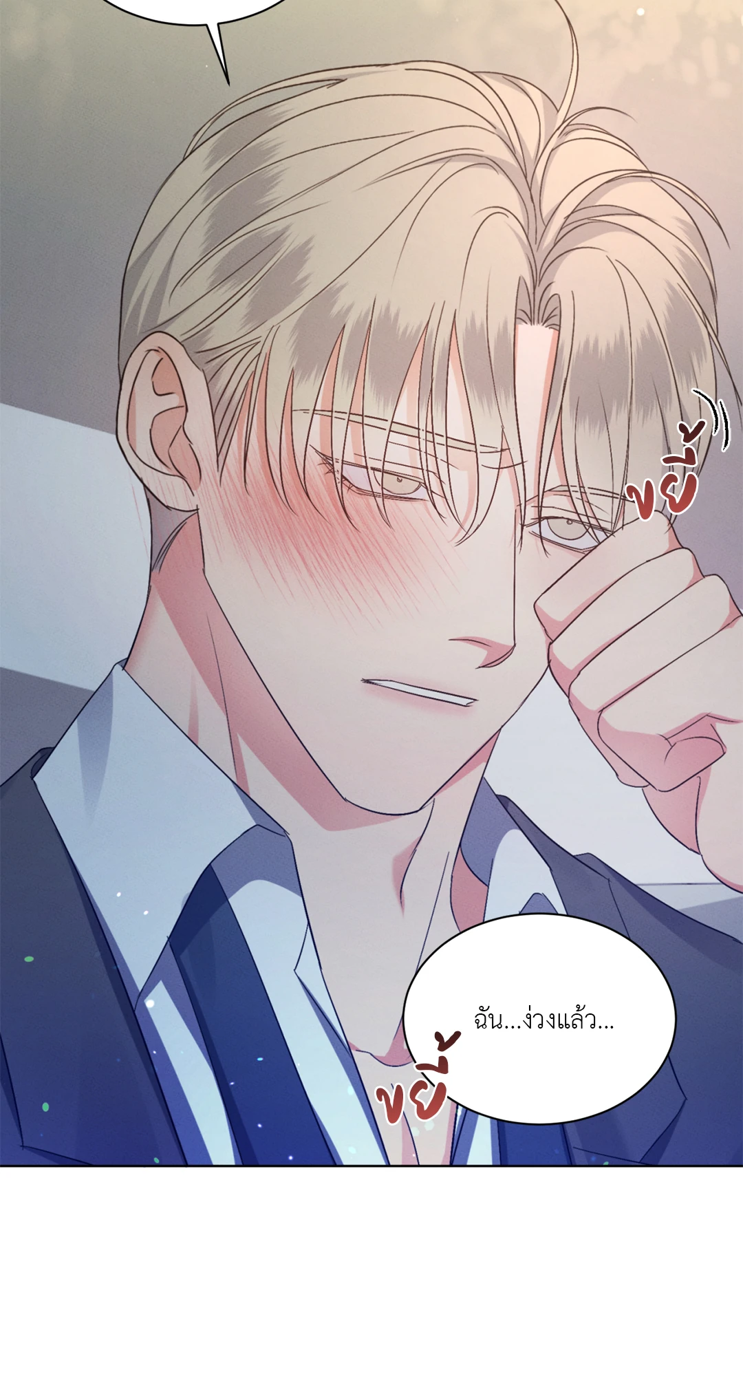 หน้า 28