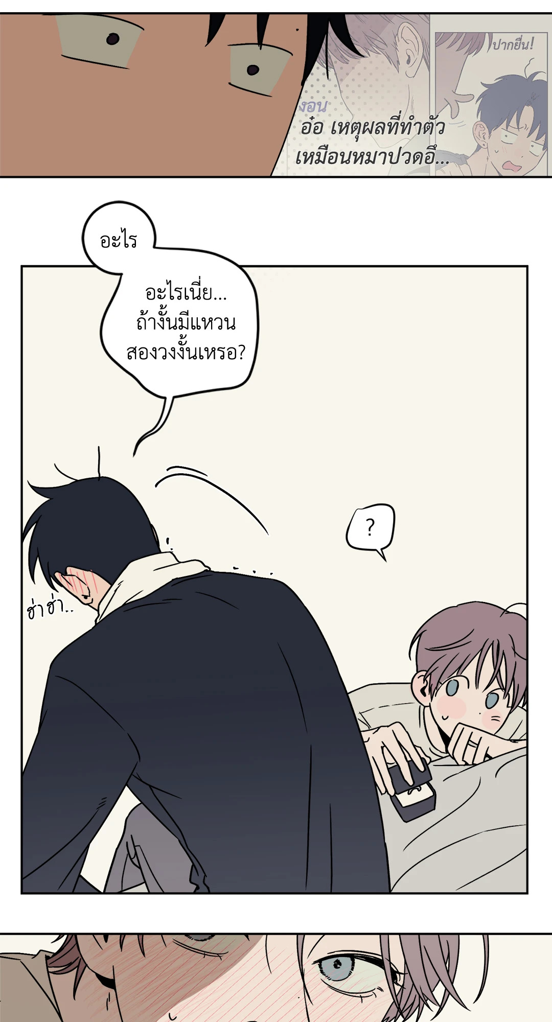 หน้า 43