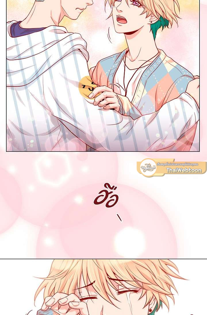หน้า 43