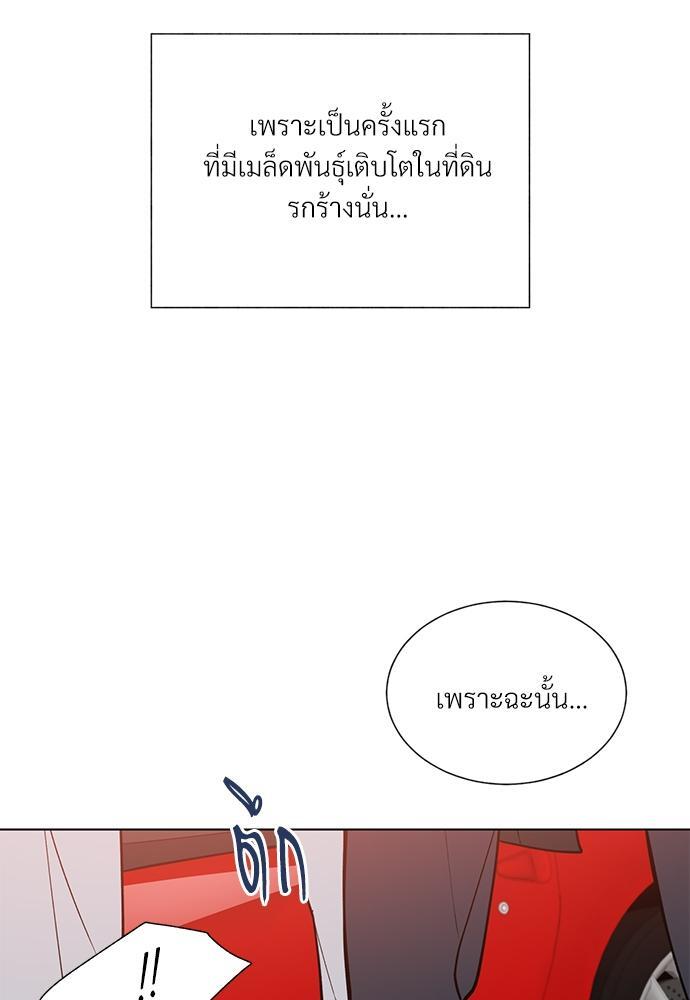 หน้า 105