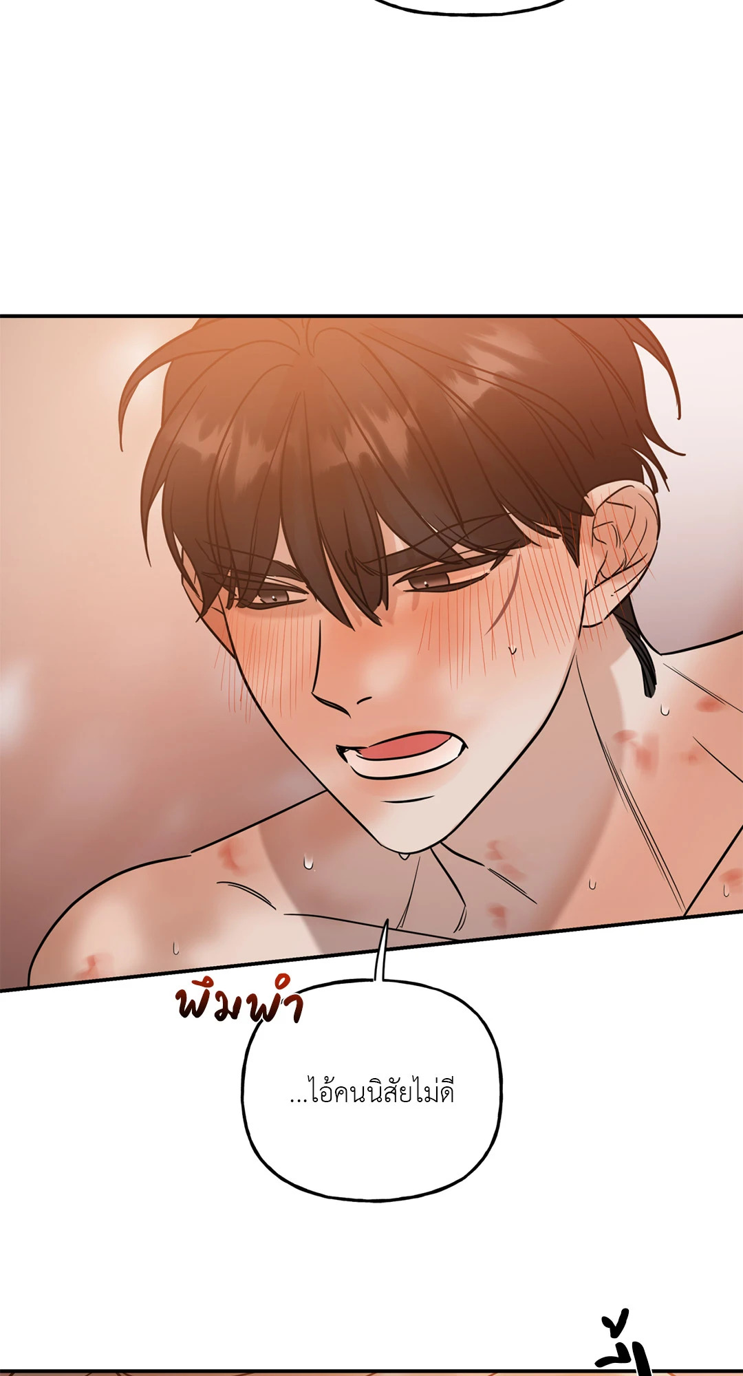 หน้า 52