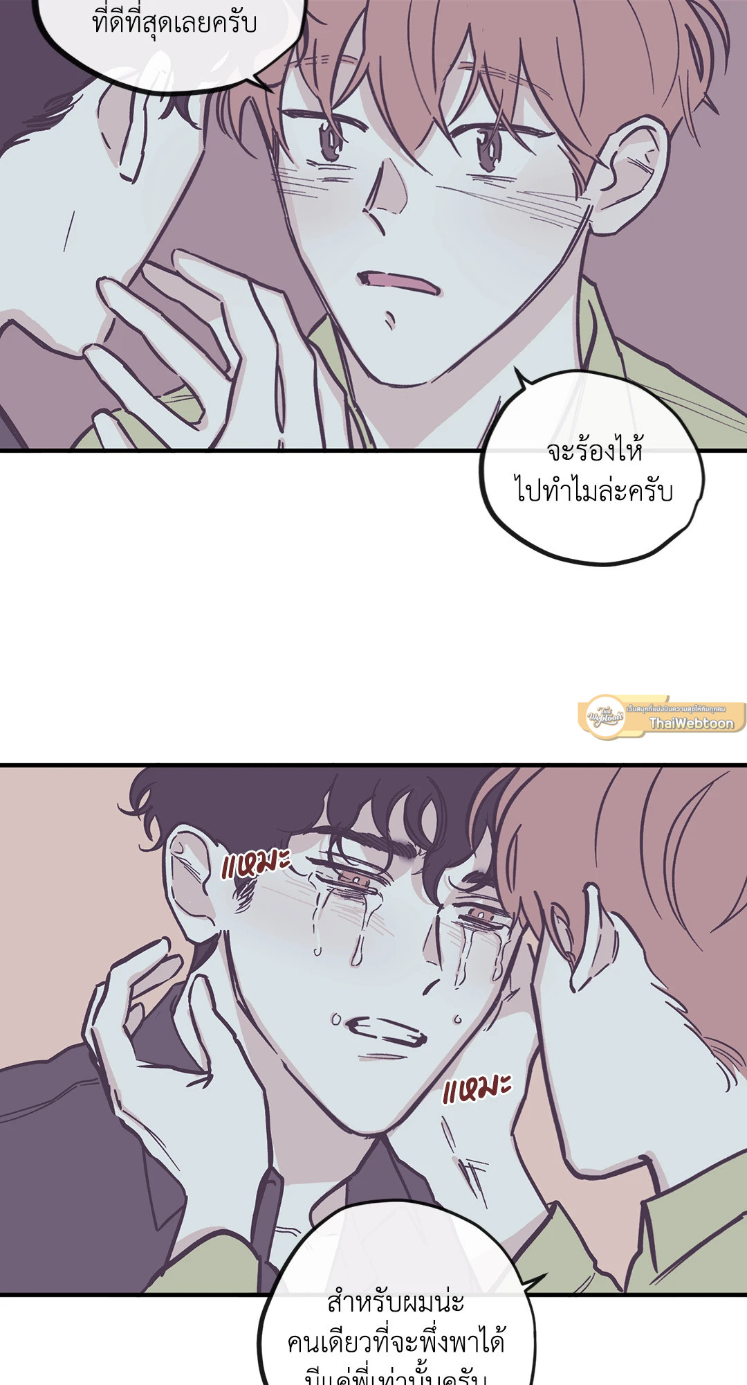 หน้า 29