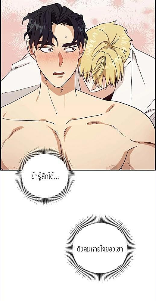 หน้า 511