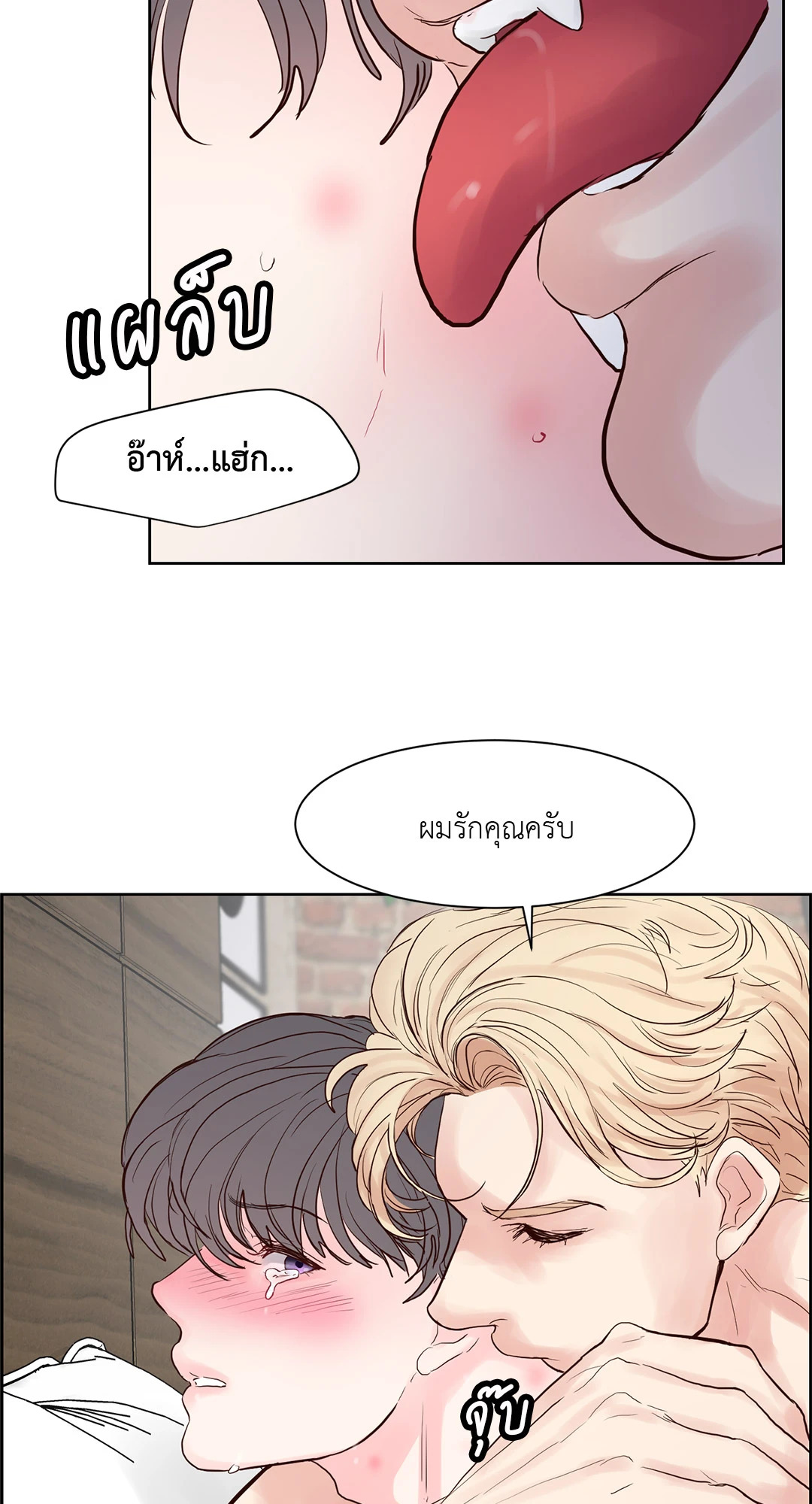 หน้า 42