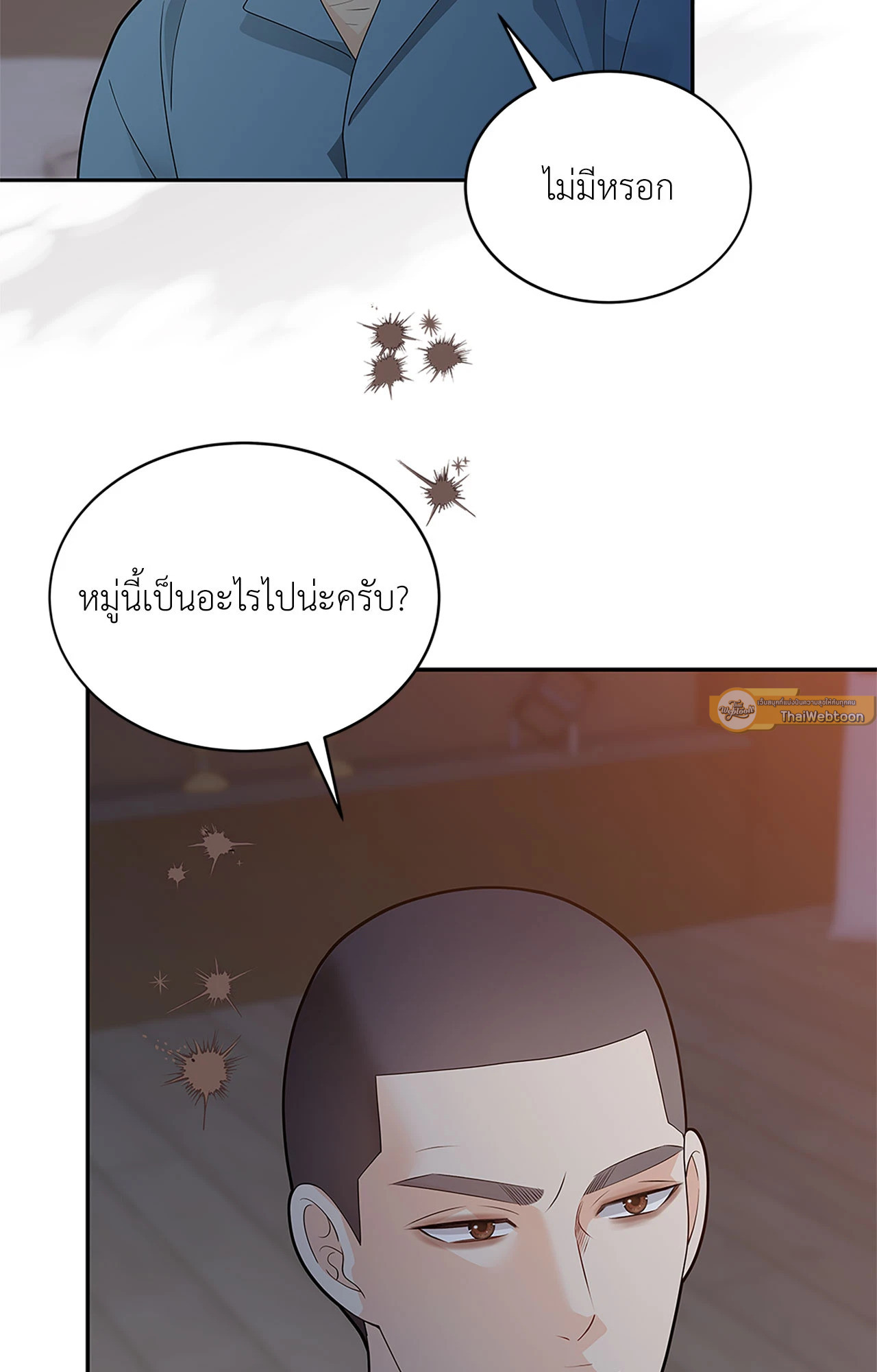 หน้า 33