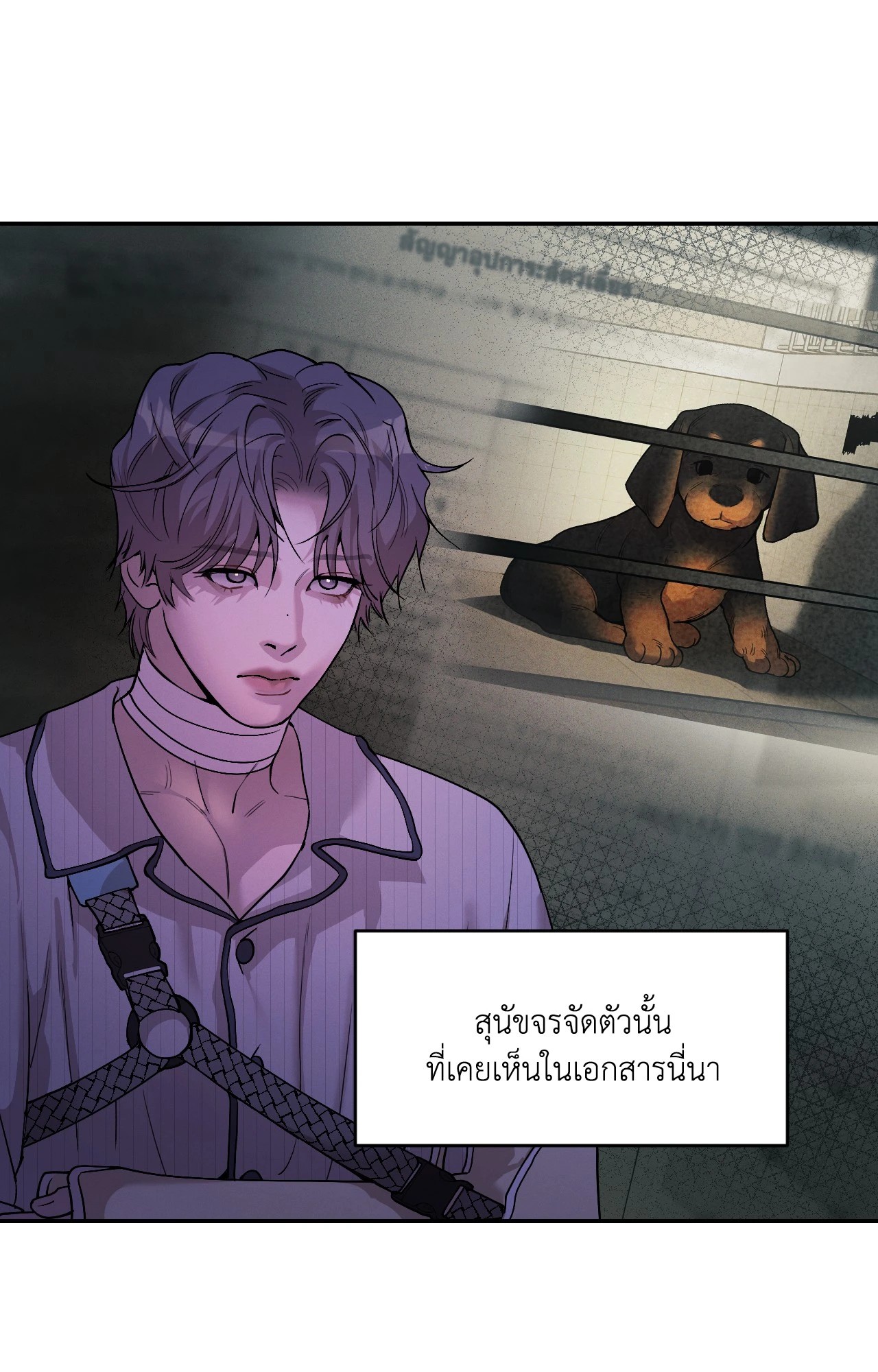 หน้า 51