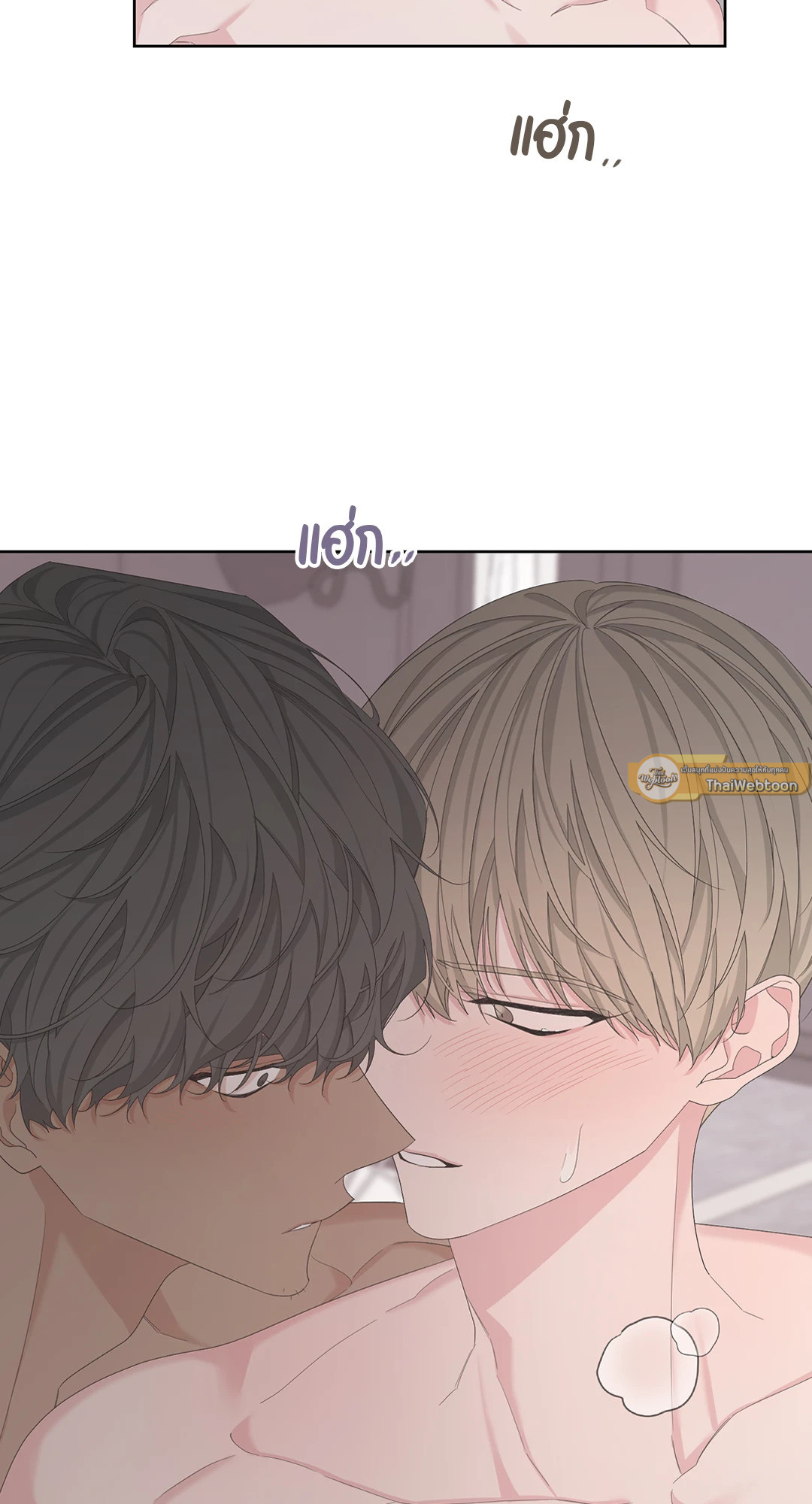 หน้า 43