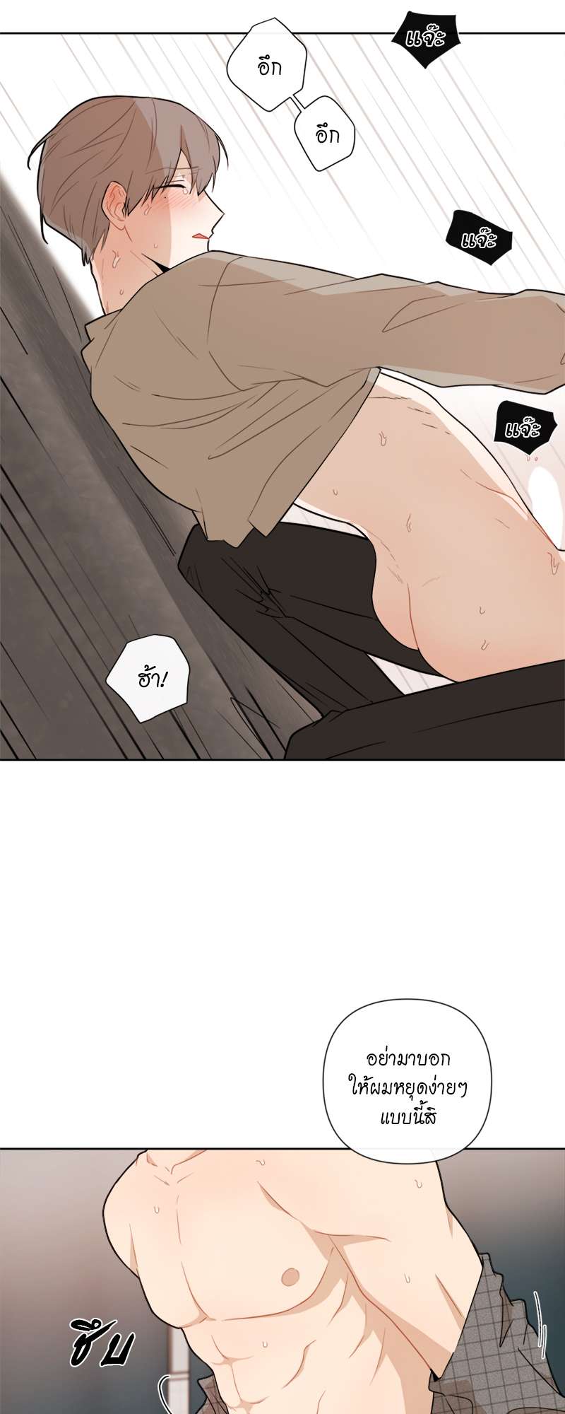 หน้า 29