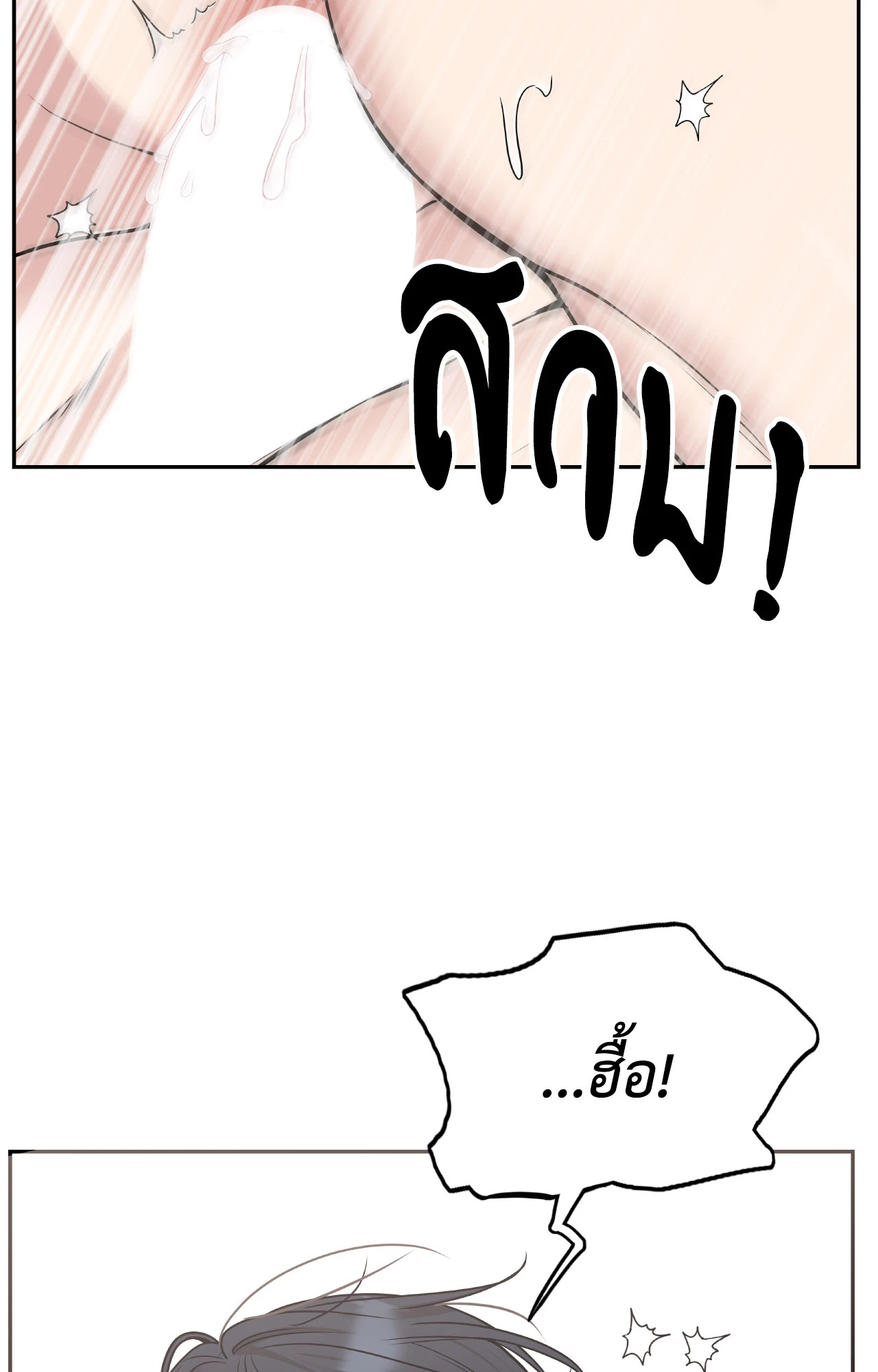 หน้า 102