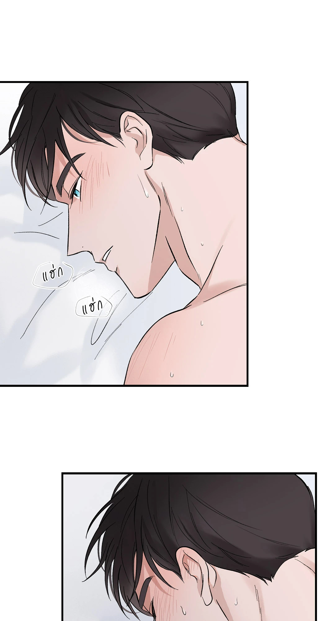 หน้า 43