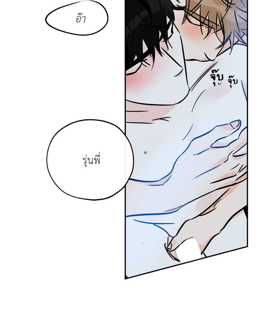 หน้า 41