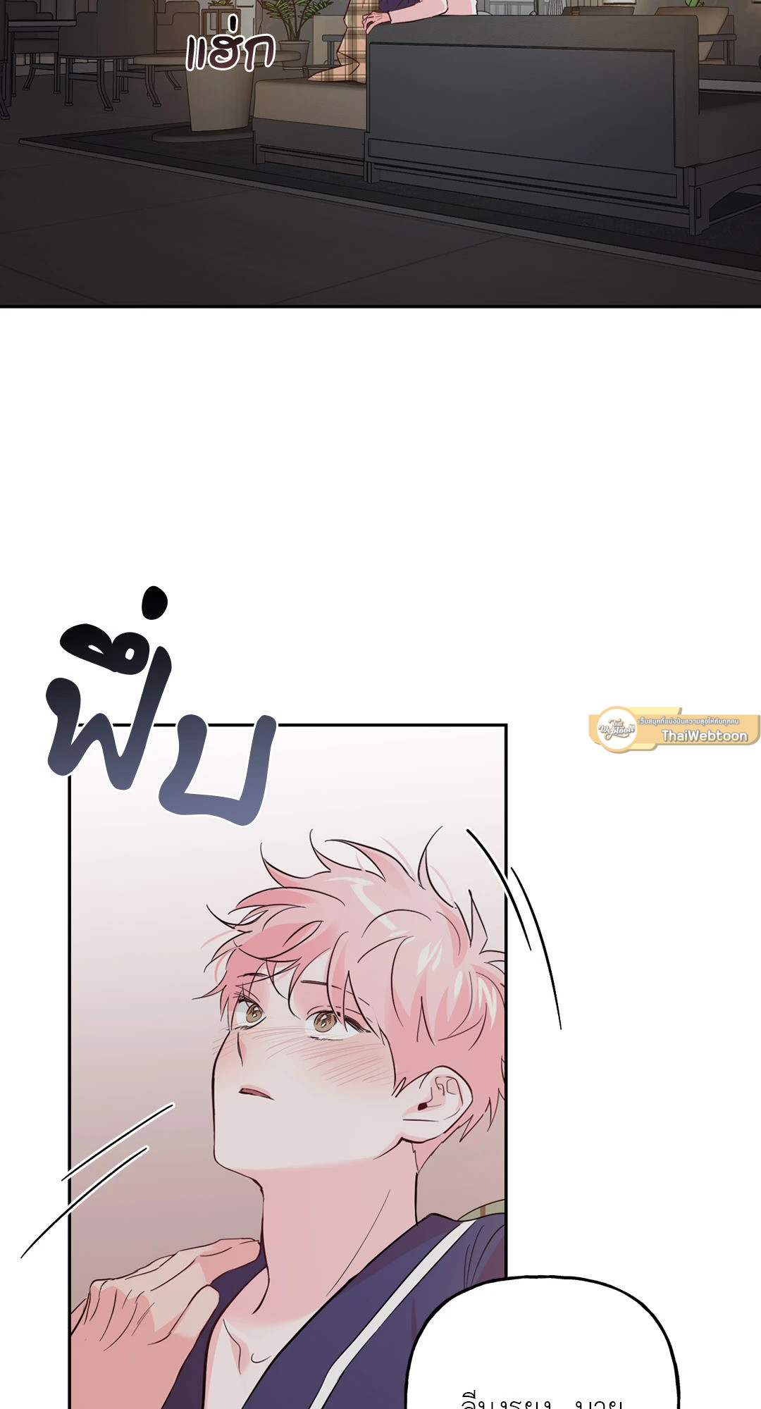 หน้า 43