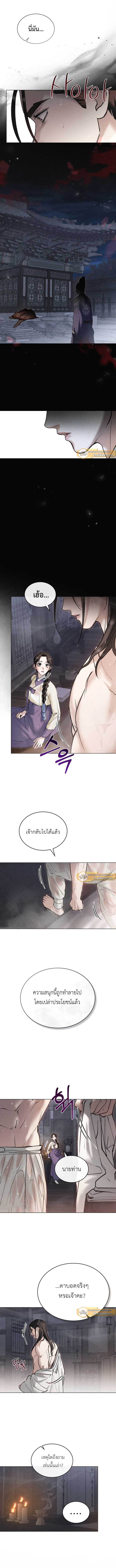 WILD NIGHT ตอนที่ 16 - รูปที่ 2